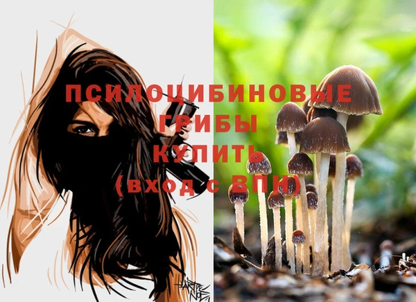 ПСИЛОЦИБИНОВЫЕ ГРИБЫ Балахна